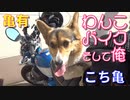 コーギーとモンキー１２５に乗って、亀有に俺を見に行く。亀有はこち亀の舞台にもなった。こち亀の登場人物にいわれのあるものがたくさんあるだろう。両津、中川、麗子に会えればいいなぁ～。