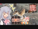 【日帰り旅行祭】鹿に会ってランチを食べに行くライド！【ニコニコ自転車動画祭2022秋】【小春六花】