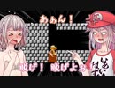 【いもうと】絶対脱がないと誓うマリオ2実況【あね】W.2
