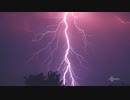 PP-Purple(JP-8)