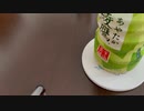 【アカペラみた】サリシノハラ