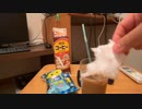 綿菓子into雪印_40秒
