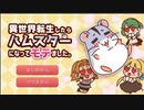 ハムスターがかわいいので実際になってみました。【異世界転生したらハムスターになってモテました。】