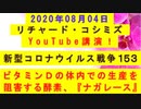 【2020年08月04日：リチャード・コシミズ YouTube講演（ 改良版 ）】