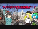 【ゆっくり解説】海外の社会福祉制度アメリカ編