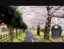 【高画質・修正版】紲星あかりと行く春の多摩湖自転車歩行道 8 　八坂～東村山浄水場
