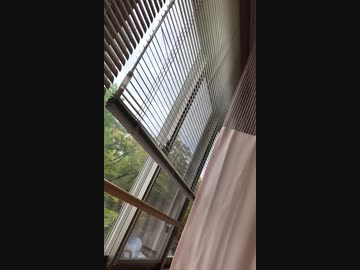 骨折で入院しました　手術します