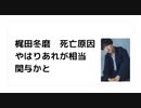 梶田冬磨　死亡原因 やはりあれが相当 関与かと　#水酸化グラフェン　#スパイクタンパク 　#殺人ワクチン　#毒ワクチン　#ターボ癌　#ターボ脳出血　#ターボ死亡　#心臓発作　#疾患底上げワクチン　