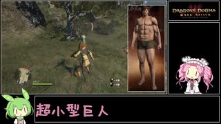 【Dragon's Dogma Dark Arisen】レベル1完全固定でハード世界を攻略するぞ【ずんだもん実況】