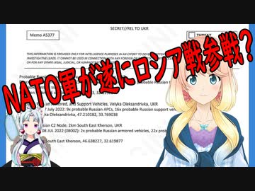NATO軍が遂にロシア戦に参戦？【世界の〇〇にゅーす】