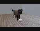 スマホのみで作った3D動画(ねこパンチ)