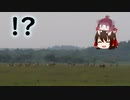 北海道一周ツーリングをしたかった２日目