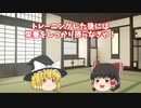 【ゆっくり茶番】霊夢とずっと一緒に...余命に抗う　後編　【別世界】