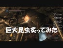 #64【ダークソウル2】巨大昆虫は無害だった初見プレイ-DARK SOULS Ⅱ SCHOLAR OF THE FIRST SIN-