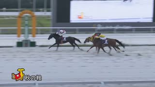 第33回秋の鞍 アンティキティラ