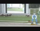 第12回ＯＲＯターフスプリント ケイアイサクソニー