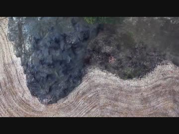 【桜無門関】馬渕睦夫×水島総 第26回「トランプ後の世界、主権放棄の日本と威信消滅のアメリカ、そして中国・ロシアは？」[桜R3/3/30]