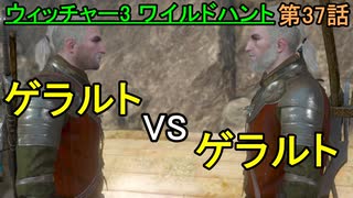 【ウィッチャー3 ワイルドハント】ドップラーって最強じゃない??「サイドクエスト」【お奉行】第37話