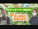 コロナ禍で観葉植物が人気　プロ直伝の「失敗しない育て方」