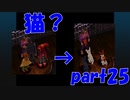 目指せ！！地下格闘技場！！【part25】クロノ・クロス Chrono Cross