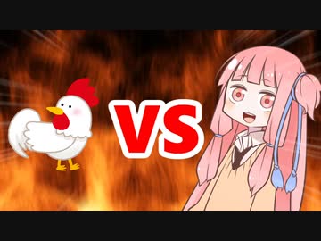 茜ちゃんVSにわとり