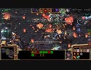 [SC2]のんびりミュテーション[コーオプ]