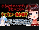 後輩のことを考えリュックでディズニーへ向かったスバル【大空スバル/兎田ぺこら/ホロライブ/切り抜き】