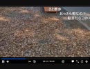 2022年　9月28日　さとし先輩　代々木公園で遊ぶ