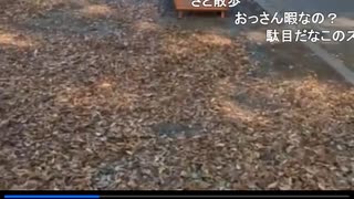 2022年　9月28日　さとし先輩　代々木公園で遊ぶ