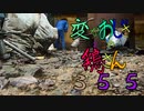 変なおじさんとこの　鶏さん３５５　いつもの朝の開門！！