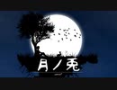 満月が美しい幻想的で静かな夜「月ノ兎」【ロイヤリティフリーBGM】