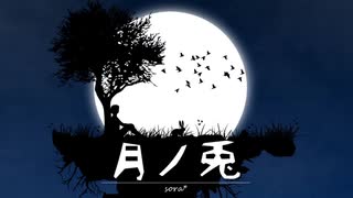 満月が美しい幻想的で静かな夜「月ノ兎」【ロイヤリティフリーBGM】