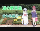 【COEIROINK車載】愛知県道の駅周遊③あかばねロコステーション～田原めっくんはうす【原付２種】