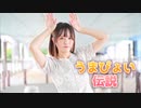 【強風】うまぴょい伝説 踊ってみた【文月きい】