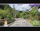 23区外の東京ってどんな場所？東京の市町村マップ！【GeoGuessr/ジオゲッサー】