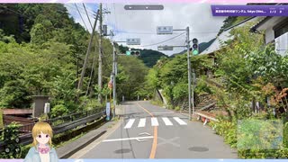 23区外の東京ってどんな場所？東京の市町村マップ！【GeoGuessr/ジオゲッサー】