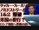 ノルドストリーム爆破　バイデン政権の犯行か　ロシアの報復を導く悪魔の誘い