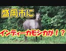 【大川ID】大川総裁のプレゼントコーナー