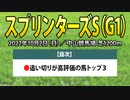スプリンターズステークス2022の追い切り好調馬3頭を公開！