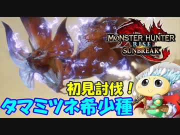 【#サンブレイク】流麗な舞に大苦戦！装備優秀！大剣で「タマミツネ希少種」を初見狩猟！【モンハンライズ】