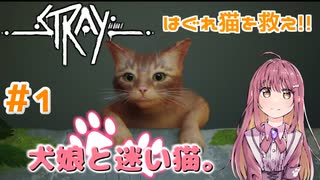 【Stray】犬娘と迷い猫【主人公が猫！？】 #1