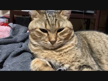 長時間 留守番してもらったら…