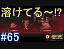 #65【Lobotomy Corporation】この上なく厄介な愛