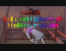 化け猫コンビの女子会乱入オジサン成敗下手の横好きキャリー(される)動画