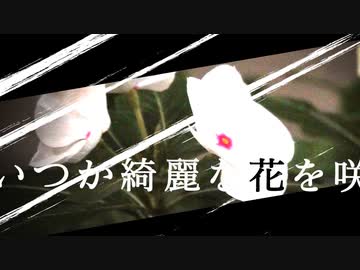 Incomplete Determination/初音ミク