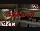 #2【IntoTheRadius】半径の中へ…【VRサバイバルホラーFPS】