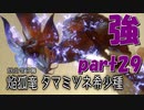 久しぶりの強敵モンスター！サンブレイク【part29】