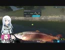 【上流は】ツリアル・十三匹目【どっちですか?】