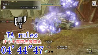 【MHRise:SB】MR6 タマミツネ希少種 スラッシュアックス 04’44”47 TA wiki rules