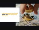 Setting Up A Crypto Wallet Complete Guide